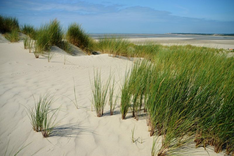 dunes sable Touquet-Paris-Plage